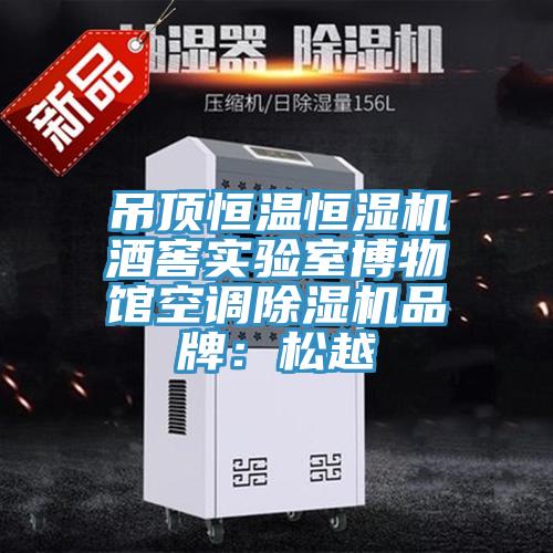 吊頂恒溫恒濕機酒窖實驗室博物館空調除濕機品牌:松越