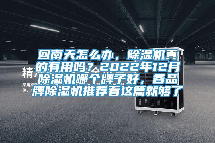 回南天怎么辦,除濕機真的有用嗎?2022年12月除濕機哪個牌子好,各品牌除濕機推薦看這篇就夠了