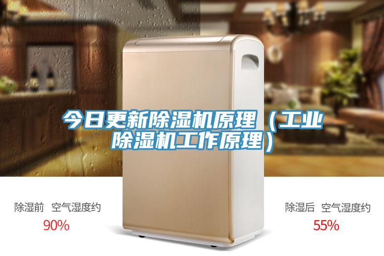 今日更新除濕機原理(工業除濕機工作原理)