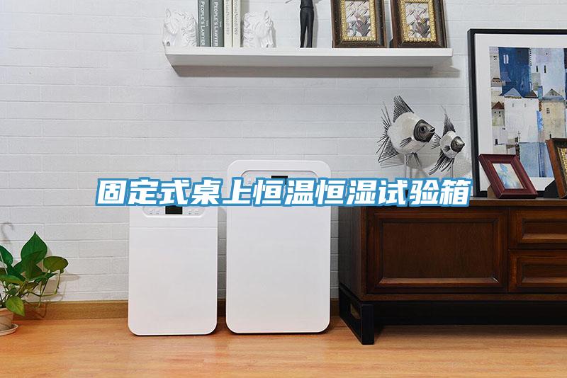 固定式桌上恒溫恒濕試驗箱