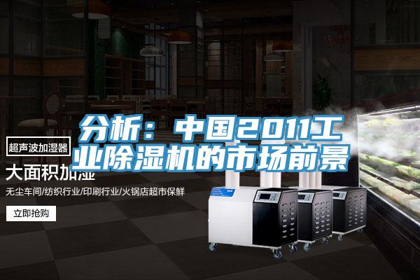 分析:中國2011工業除濕機的市場前景