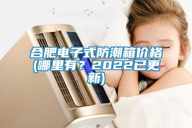 合肥電子式防潮箱價格(哪里有？2022已更新)