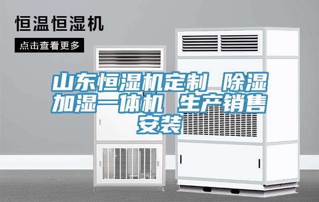 山東恒濕機定制 除濕加濕一體機 生產銷售安裝