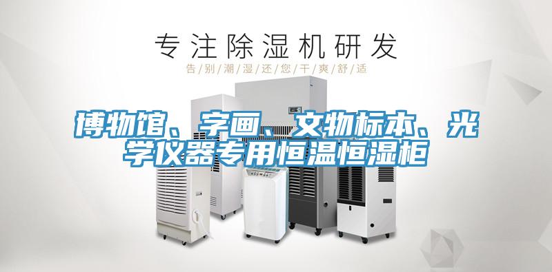 博物館、字畫、文物標本、光學儀器專用恒溫恒濕柜