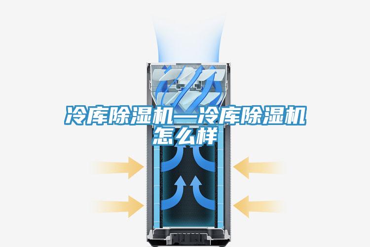 冷庫除濕機—冷庫除濕機怎么樣