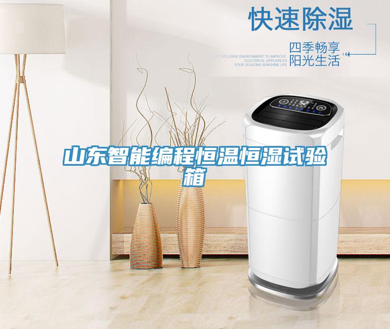 山東智能編程恒溫恒濕試驗箱