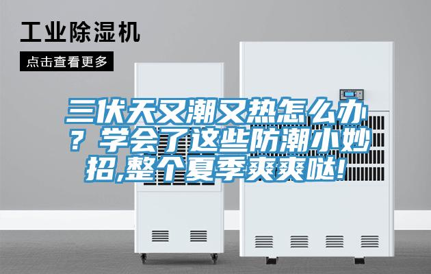 三伏天又潮又熱怎么辦？學會了這些防潮小妙招,整個夏季爽爽噠!