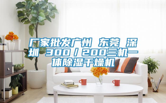 廠家批發廣州 東莞 深圳 300/200三機一體除濕干燥機