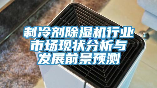 制冷劑除濕機行業市場現狀分析與發展前景預測