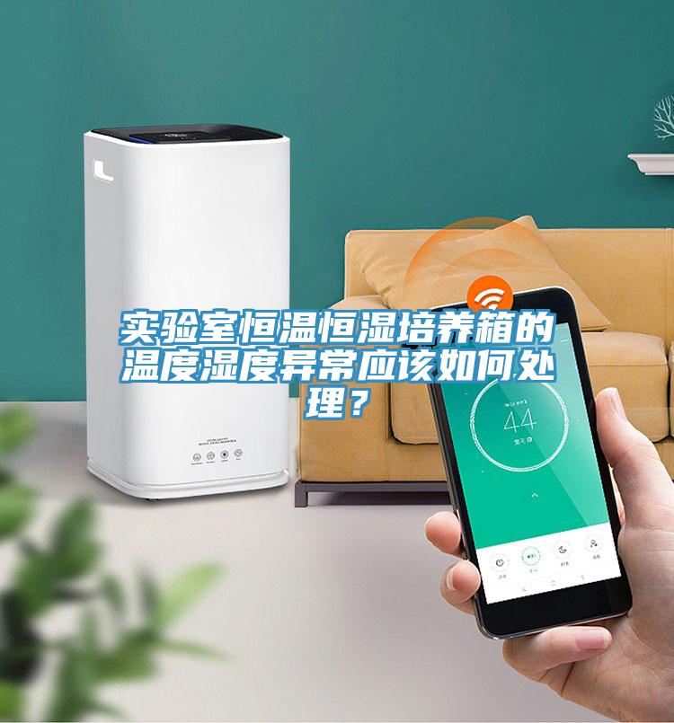 實(shí)驗(yàn)室恒溫恒濕培養(yǎng)箱的溫度濕度異常應(yīng)該如何處理?
