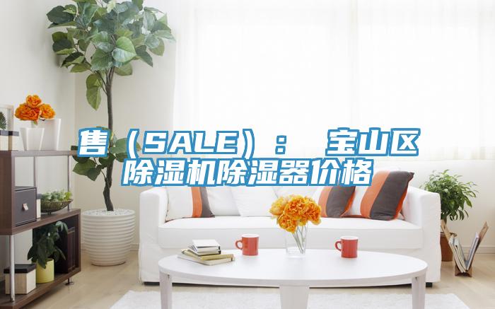 售(SALE): 寶山區除濕機除濕器價格