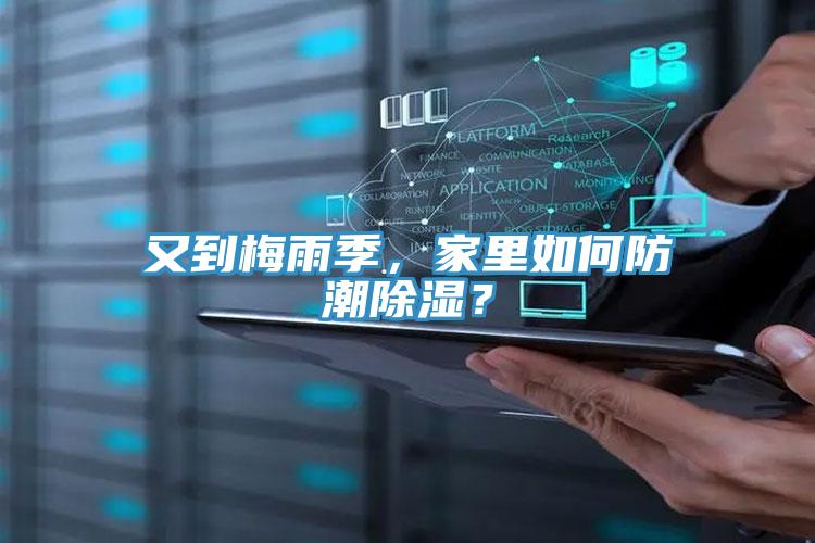 又到梅雨季,家里如何防潮除濕?