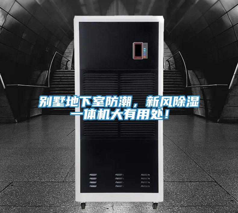 別墅地下室防潮,新風除濕一體機大有用處!