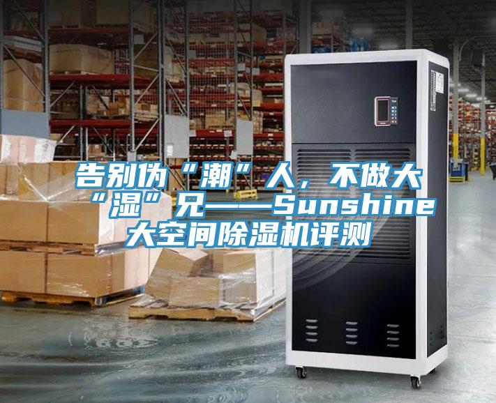 告別偽“潮”人，不做大“濕”兄——Sunshine大空間除濕機評測