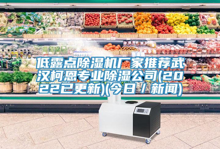 低露點除濕機廠家推薦武漢柯恩專業(yè)除濕公司(2022已更新)(今日/新聞)
