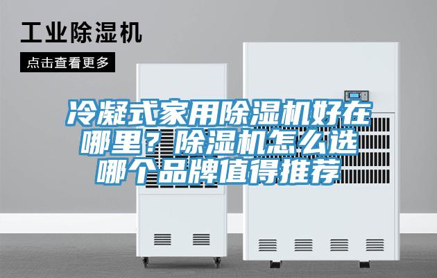 冷凝式家用除濕機好在哪里?除濕機怎么選哪個品牌值得推薦