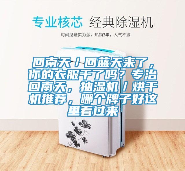回南天/回藍天來了,你的衣服干了嗎?專治回南天,抽濕機/烘干機推薦,哪個牌子好這里看過來
