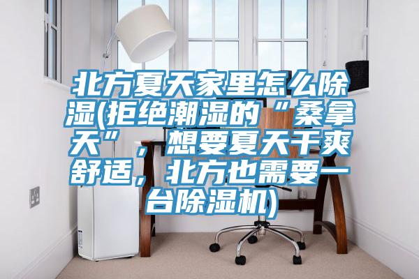 北方夏天家里怎么除濕(拒絕潮濕的“桑拿天”,想要夏天干爽舒適,北方也需要一臺除濕機)