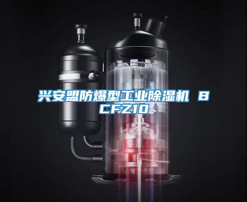 興安盟防爆型工業除濕機 BCFZ10