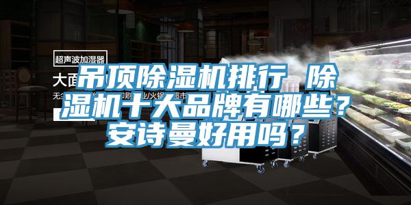 吊頂除濕機排行 除濕機十大品牌有哪些?安詩曼好用嗎?