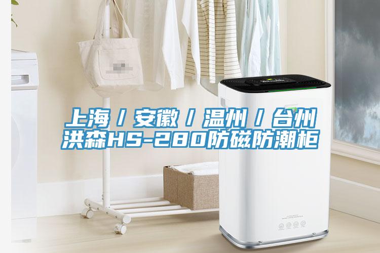 上海／安徽／溫州／臺州洪森HS-280防磁防潮柜