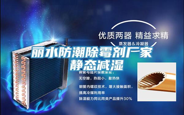 麗水防潮除霉劑廠家 靜態減濕