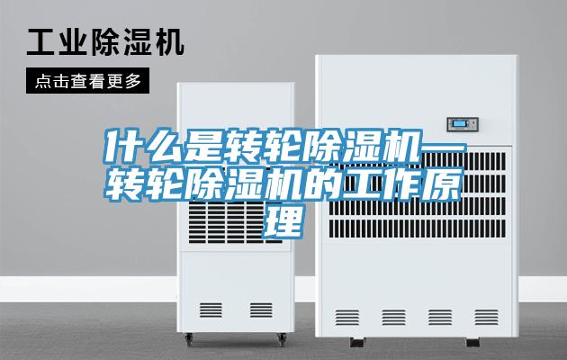 什么是轉輪除濕機—轉輪除濕機的工作原理