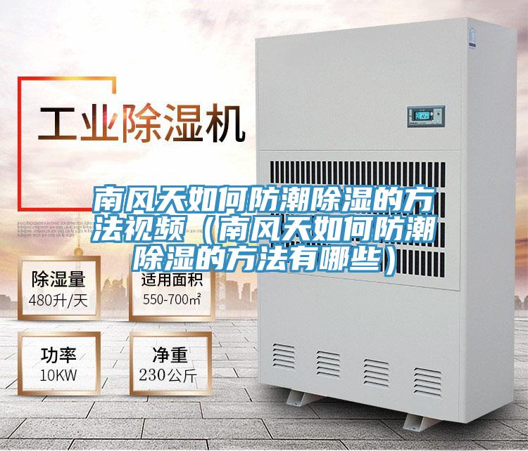 南風天如何防潮除濕的方法視頻(南風天如何防潮除濕的方法有哪些)