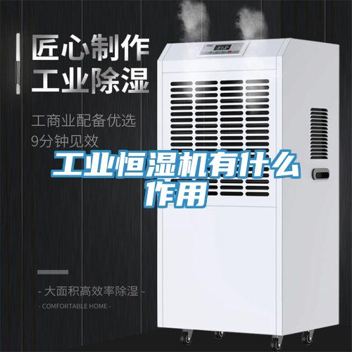 工業恒濕機有什么作用