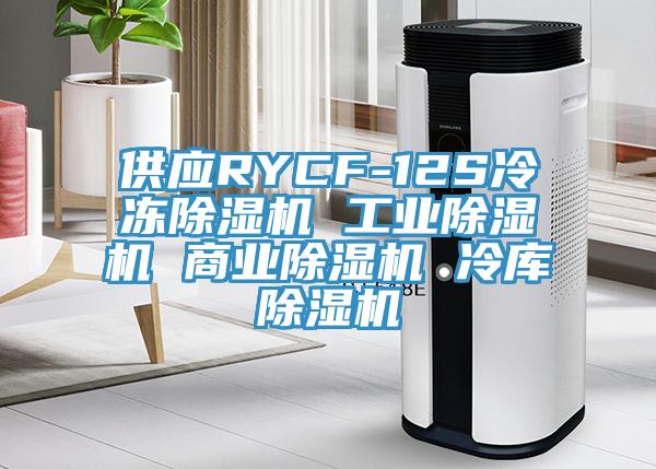 供應RYCF-12S冷凍除濕機 工業除濕機 商業除濕機 冷庫除濕機