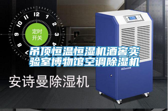 吊頂恒溫恒濕機酒窖實驗室博物館空調除濕機
