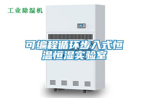 可編程循環(huán)步入式恒溫恒濕實(shí)驗(yàn)室