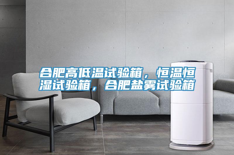 合肥高低溫試驗箱,恒溫恒濕試驗箱,合肥鹽霧試驗箱