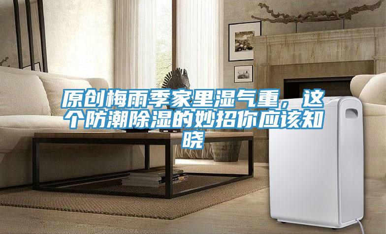 原創梅雨季家里濕氣重,這個防潮除濕的妙招你應該知曉