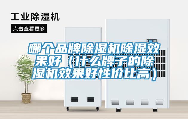 哪個品牌除濕機除濕效果好(什么牌子的除濕機效果好性價比高)