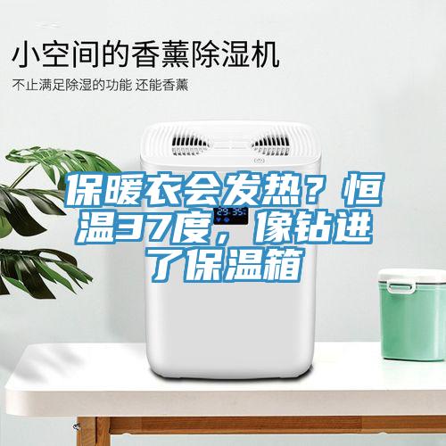 保暖衣會發熱?恒溫37度,像鉆進了保溫箱