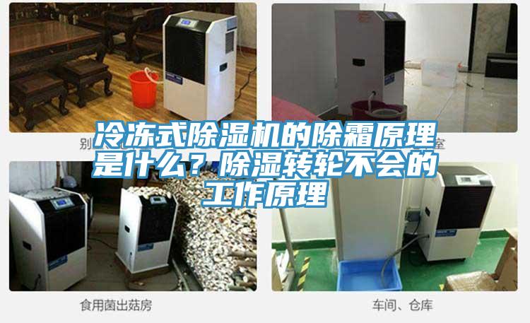 冷凍式除濕機的除霜原理是什么?除濕轉輪不會的工作原理