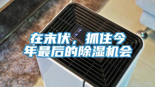 在末伏，抓住今年最后的除濕機會