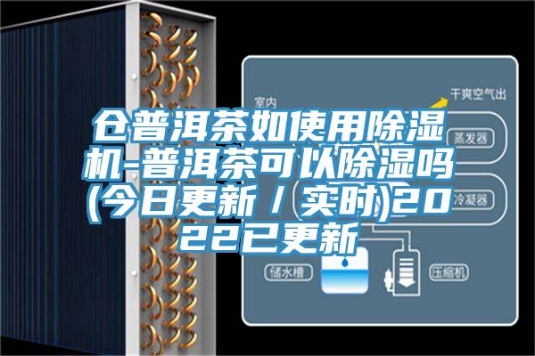 倉普洱茶如使用除濕機-普洱茶可以除濕嗎(今日更新／實時)2022已更新