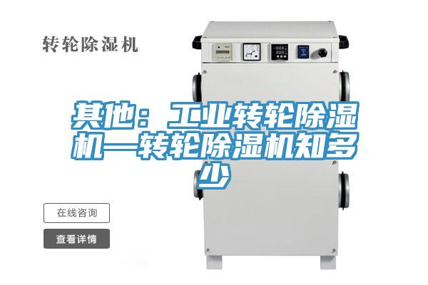 其他:工業(yè)轉(zhuǎn)輪除濕機(jī)—轉(zhuǎn)輪除濕機(jī)知多少