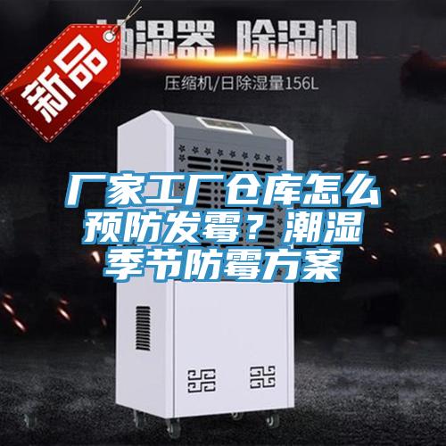 廠家工廠倉庫怎么預防發霉?潮濕季節防霉方案