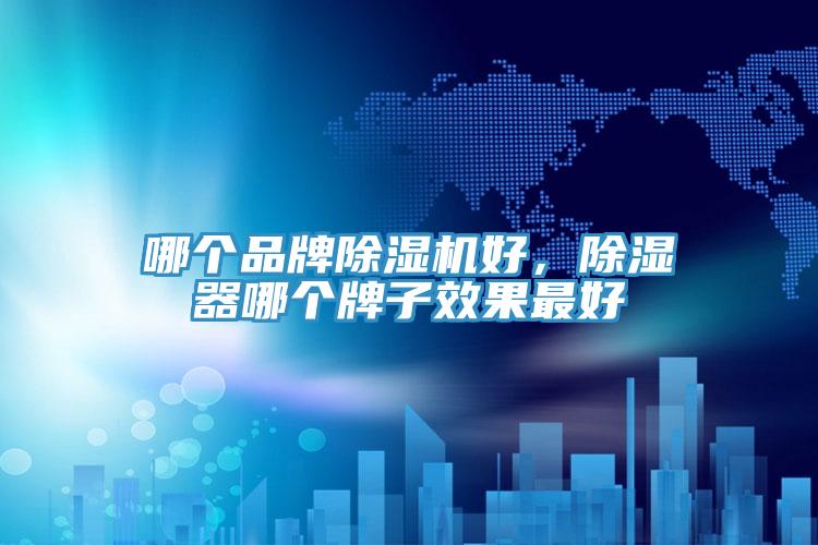 哪個品牌除濕機好,除濕器哪個牌子效果最好