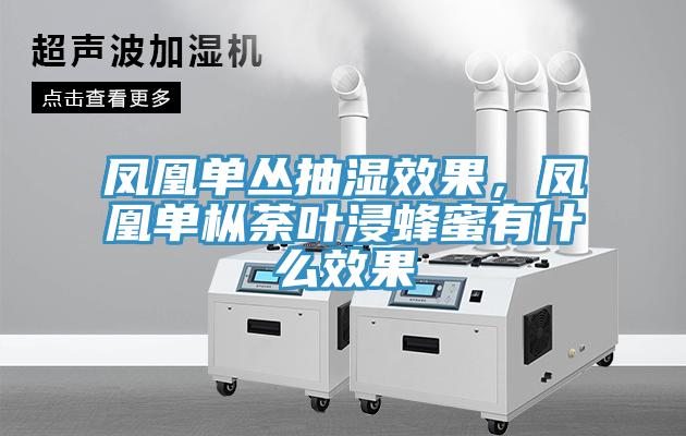 鳳凰單叢抽濕效果,鳳凰單樅荼葉浸蜂蜜有什么效果