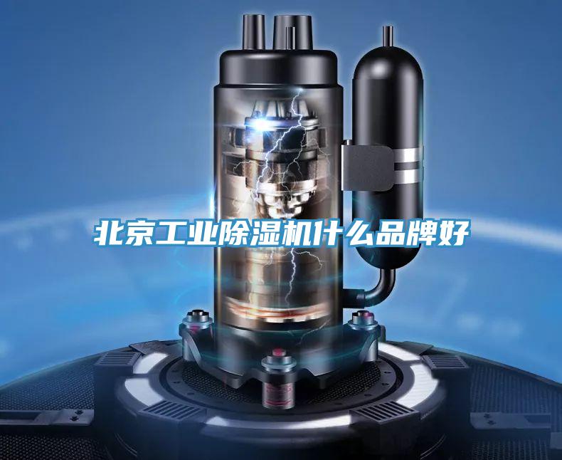 北京工業(yè)除濕機什么品牌好