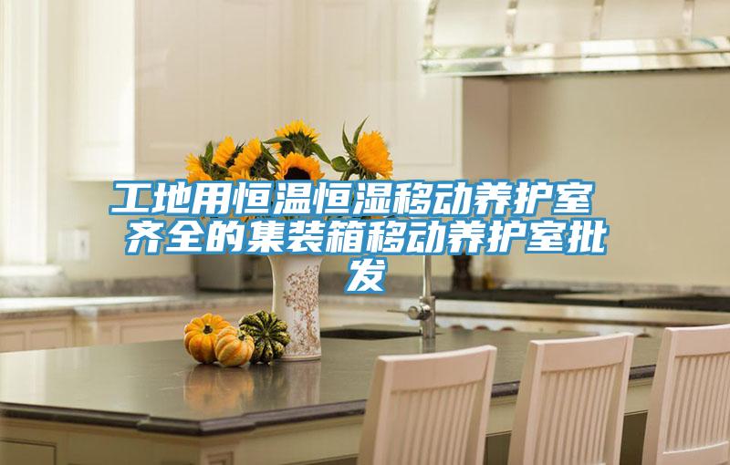 工地用恒溫恒濕移動(dòng)養(yǎng)護(hù)室 齊全的集裝箱移動(dòng)養(yǎng)護(hù)室批發(fā)