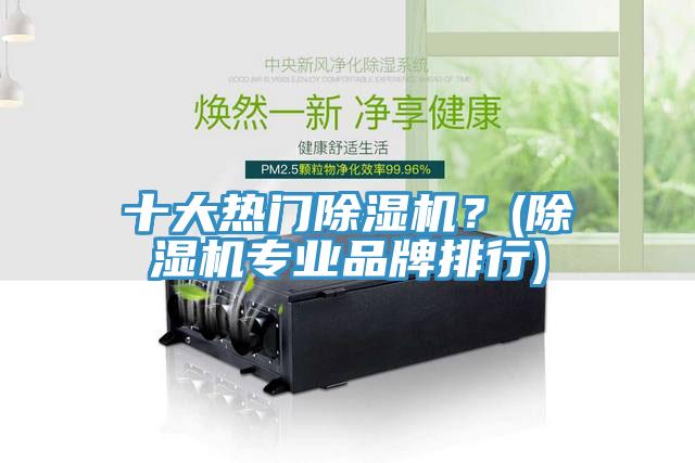 十大熱門除濕機?(除濕機專業(yè)品牌排行)