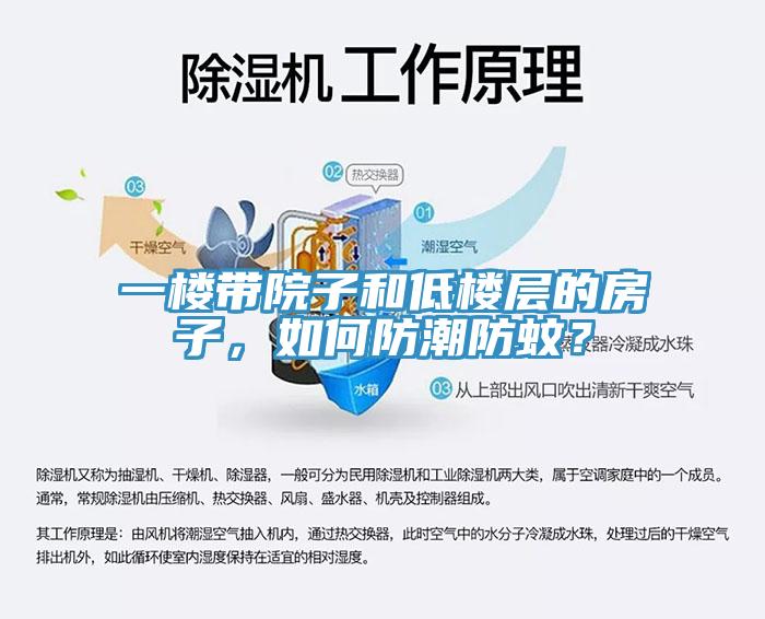 一樓帶院子和低樓層的房子，如何防潮防蚊？