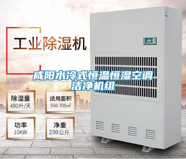 咸陽水冷式恒溫恒濕空調潔凈機組
