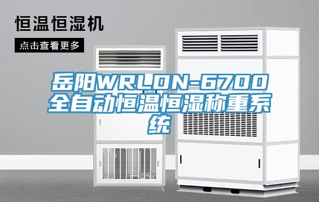 岳陽WRLDN-6700全自動恒溫恒濕稱重系統