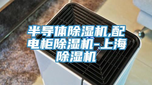 半導體除濕機,配電柜除濕機-上海除濕機